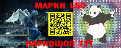 стаф Малгобек