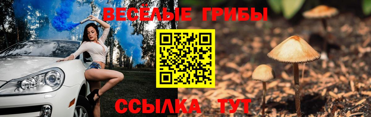 Псилоцибиновые грибы Psilocybine cubensis  Вход с VPN  Учалы 